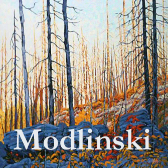 Dominik Modlinski